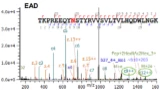 Evaluation of Alternative Fragmentation of Peptides for Comprehensive ID of PTMs Logo