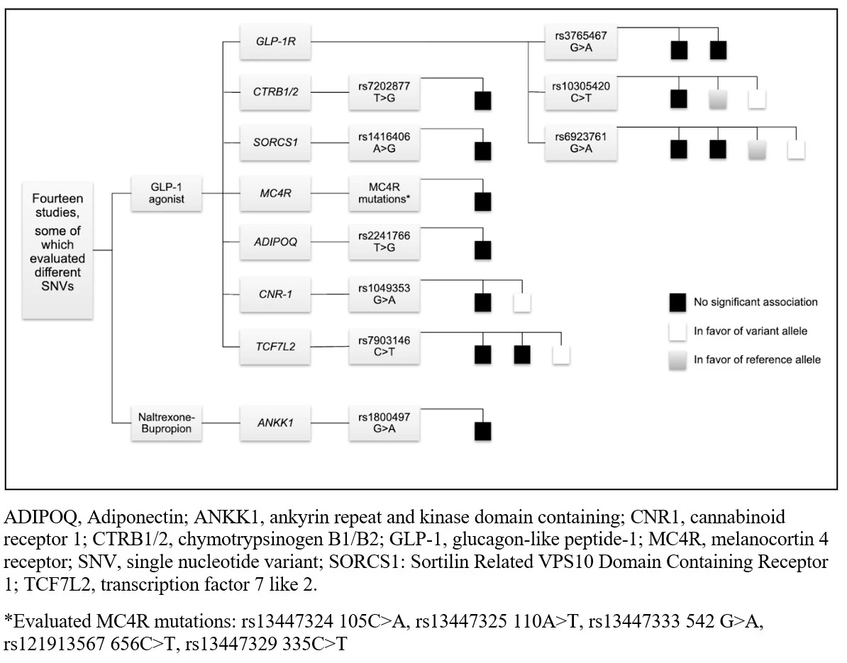 Figure 1: Flow diagram highlighting the interaction between various single nucleotide variants (SNV) and weight lowering medications.<b> </b>Each small square represents a different study in the literature, and the outcome of interest is weight loss, expressed as significant effect of the variant or reference allele (shown as “in favor” in the figure). Some studies evaluated the effects of different SNV and are included multiple times.