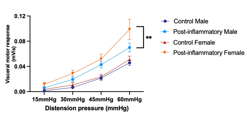 <b>Figure 1</b><b>. Post-inflammatory female mice exhibit increased visceral pain. </b>Visceral hypersensitivity was measured by evaluating the VMR to CRD.  Data expressed as mean ± SEM, n=10-12 animals/group. Two-way analysis of variance, Tukey post hoc test; p=0.003 at 60mmHg.