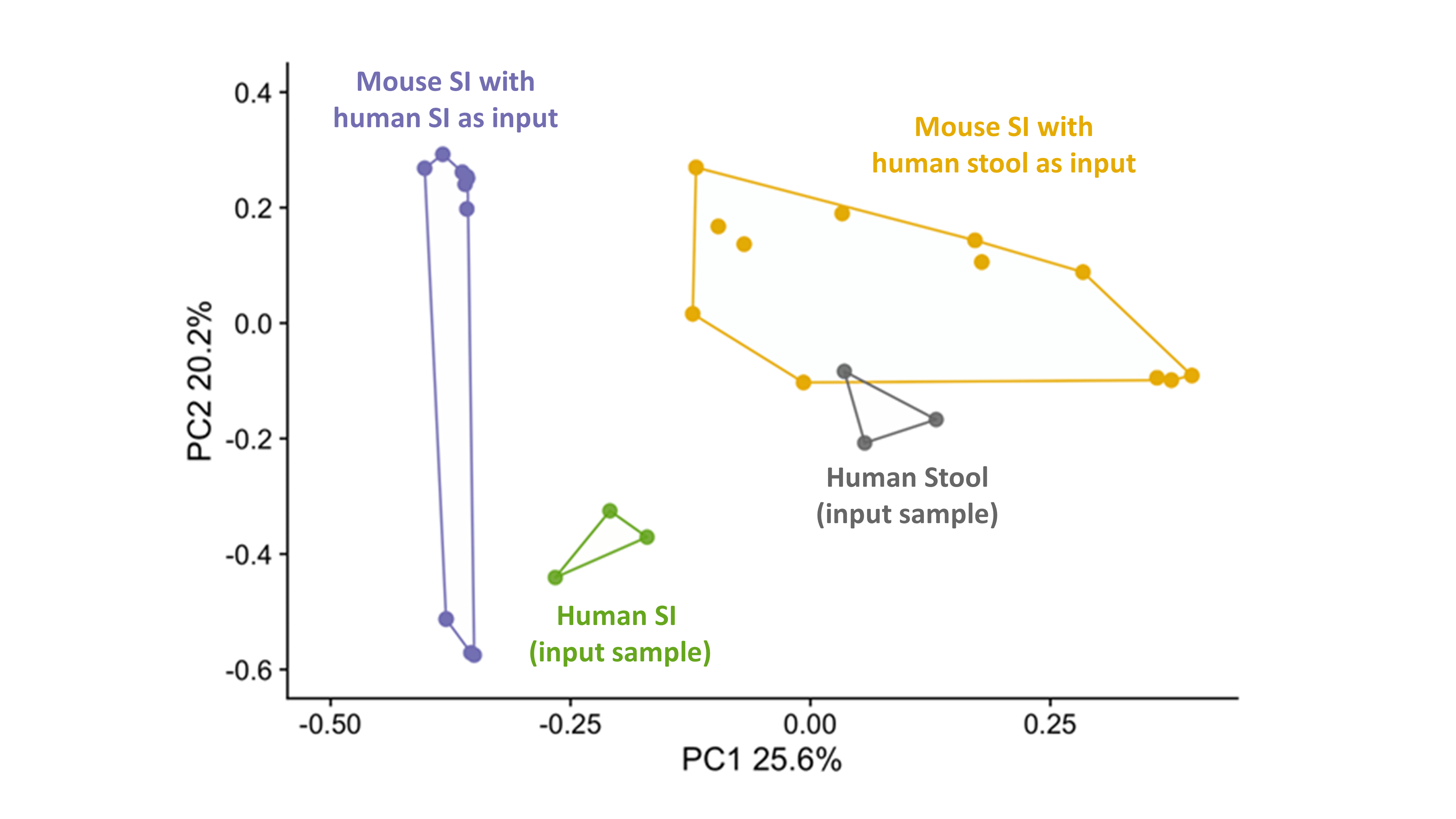 <b>Figure 1.</b> Beta diversity-based principal coordinate analysis of SI contents of mice gavaged with human SI aspirates (purple) and human stool (yellow) and the original human input sample (human SI, green and human stool, grey).
