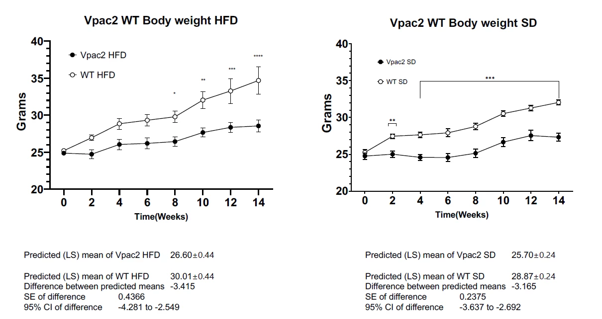 VPAC2 KO MICE GAIN LESS BODY WEIGHT THAN WT MICE ON A HIGH FAT DIET