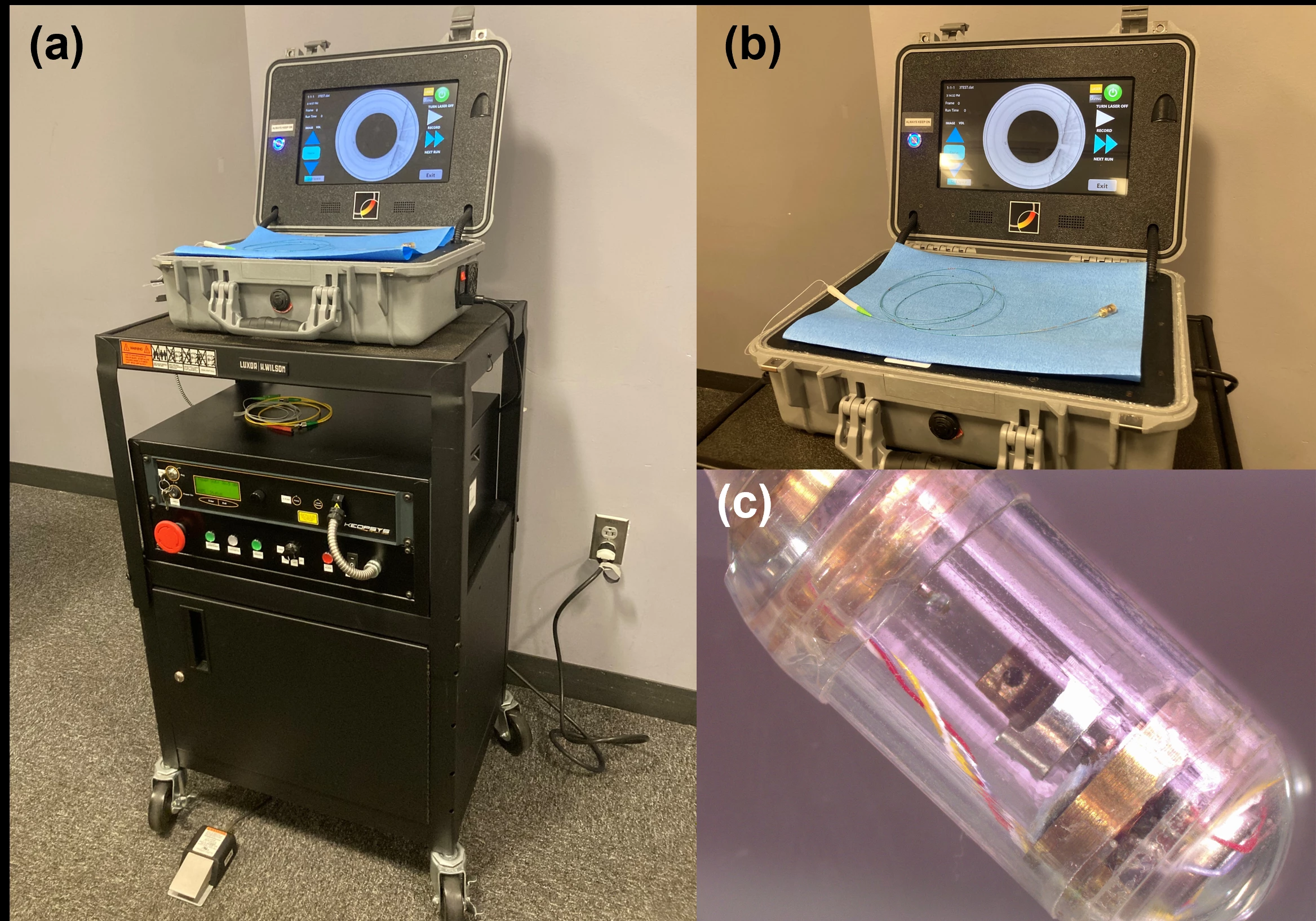 Figure 2: The OCT-guided biopsy procedure and the tissue captured by the TCE device. (a) Real-time OCT imaging display of the esophagus during an in vivo swine study. Three laser capture sites (red arrows) were selected, and the capture lasers were shot. (b) OCT image during the pullback of the TCE, the captured tissues can be seen on the surface of the capsule. (c) Endoscopic picture of the post-laser capture esophagus. (d) Tissue captured on the coating of the TCE device.