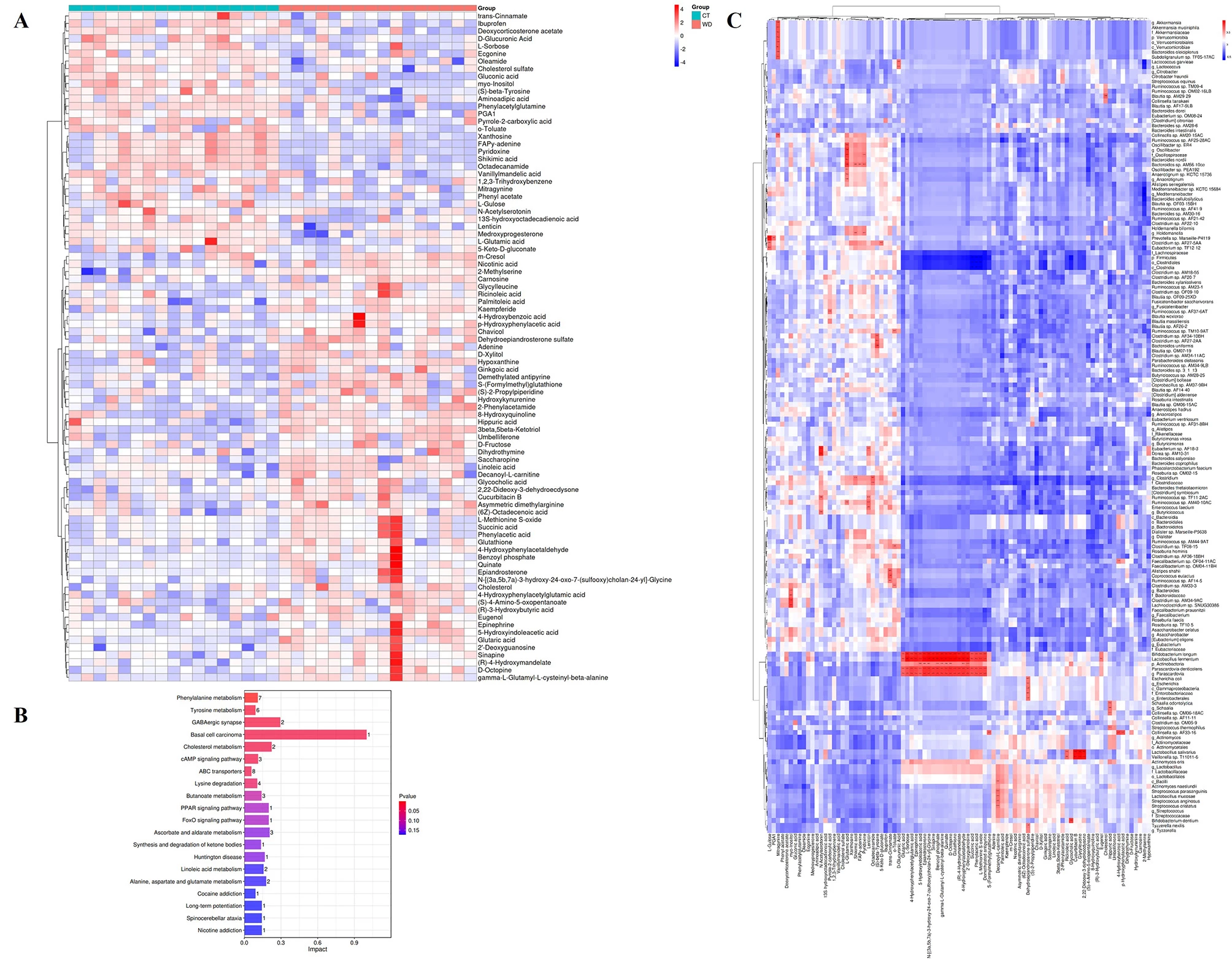 Figure 2: A: Significantly altered metabolites were determined using VIP score from pairwise PLD-DA analysis and Wilcoxon rank-sum test. B: Metabolomic pathway enrichment analysis using the significantly altered metabolites between WD and healthy controls (CT). C: Heatmap of correlation analysis between the gut microbiota and metabolites. <sup>* </sup>displays notable correlations were observed between microbial species and metabolites.