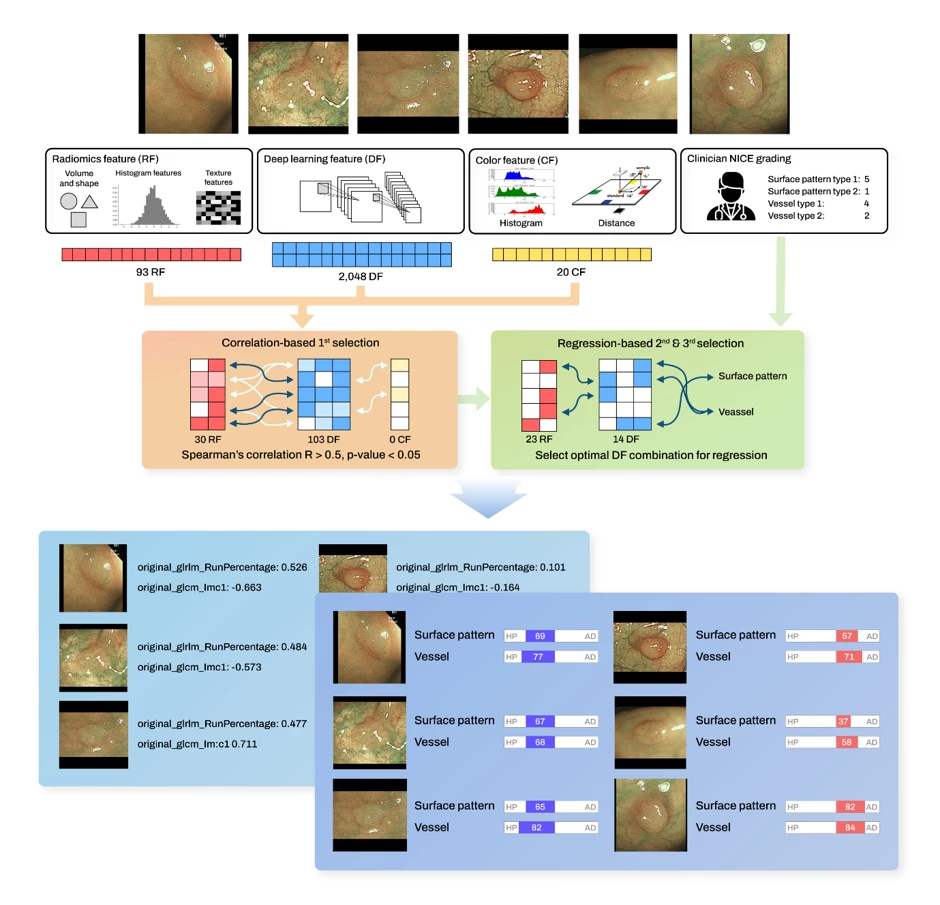 <b>Figure 1. CADx with XAI system workflow.</b> The CADx with XAI system comprises four integral steps: data preparation involving radiomics, color, deep features, and clinician-assigned NICE grading; a correlation-driven selection process to identify significant correlations between radiomics/color and deep features; regression analysis linking NICE grading to chosen deep features, thereby translating deep learning outcomes into NICE grading and encompassing feature selection; and finally, reinterpreting the selected deep features in terms of radiomics.
