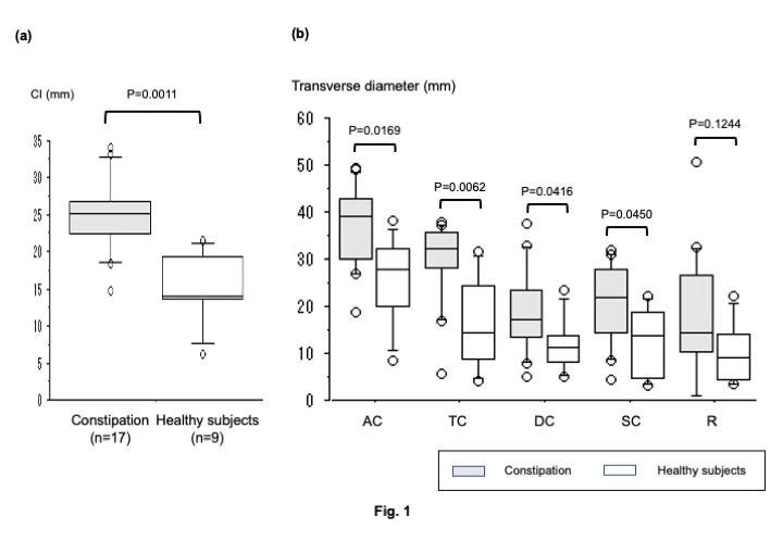 <b>Figure 1. Differences in stool and/or gas distribution between the two groups at baseline</b>