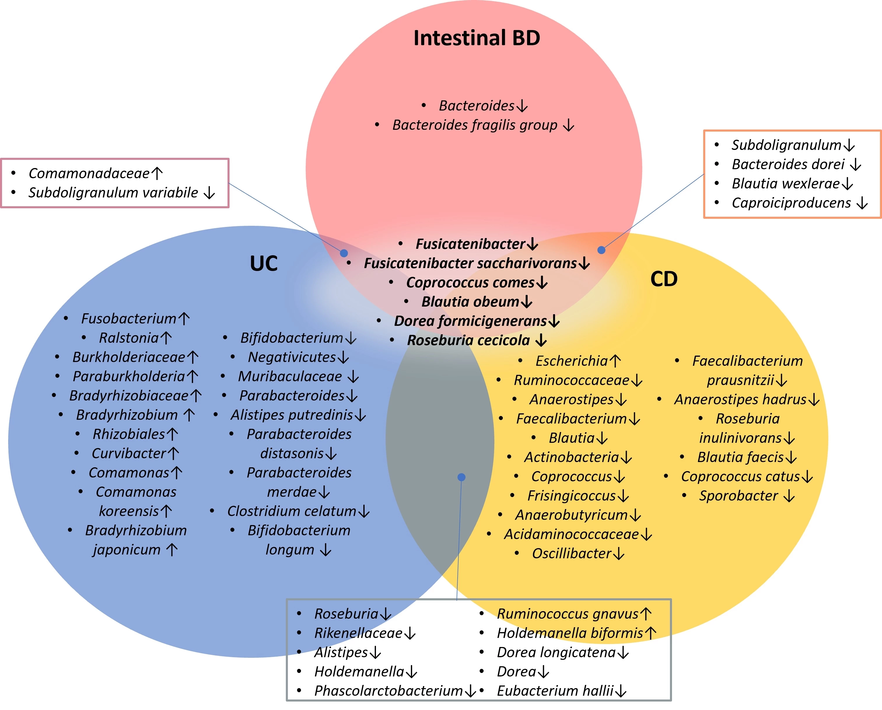 Figure 1. Microbial taxonomic biomarkers of IBD and intestinal BD. Genus <i>Fusicatenibacter</i>, species <i>Fusicatenibacter saccharivorans, Coprococcus comes, Blautia obeum</i>, <i>Dorea formicigenerans, </i>and<i> Roseburia ceciola</i> consistently exhibited decreased abundance, indicating their 'protective' role in UC, CD, and intestinal BD. Intestinal BD displayed fewer significant changes, mainly characterized by a decrease in the abundance of several taxa. IBD: inflammatory bowel disease, UC: ulcerative colitis, CD: Crohn’s disease, BD: Behçet’s disease