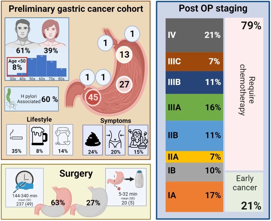Figure 1. Graphical Overview of Clinical and Pathological Characteristics in the Gastric Cancer Cohort.