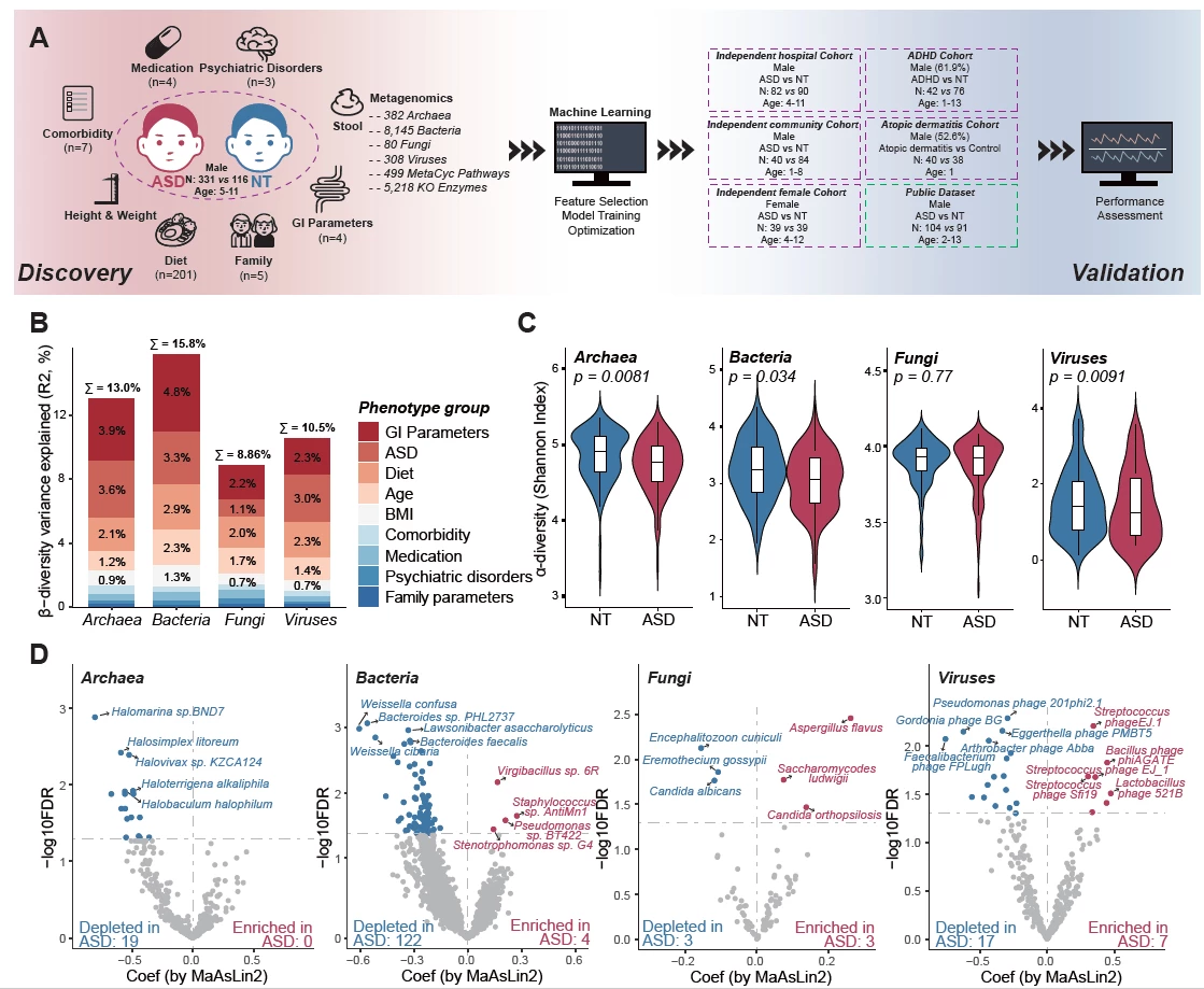 <b>Figure 1. </b><b>Associations between ASD and multi-kingdom fecal microbiome composition</b>