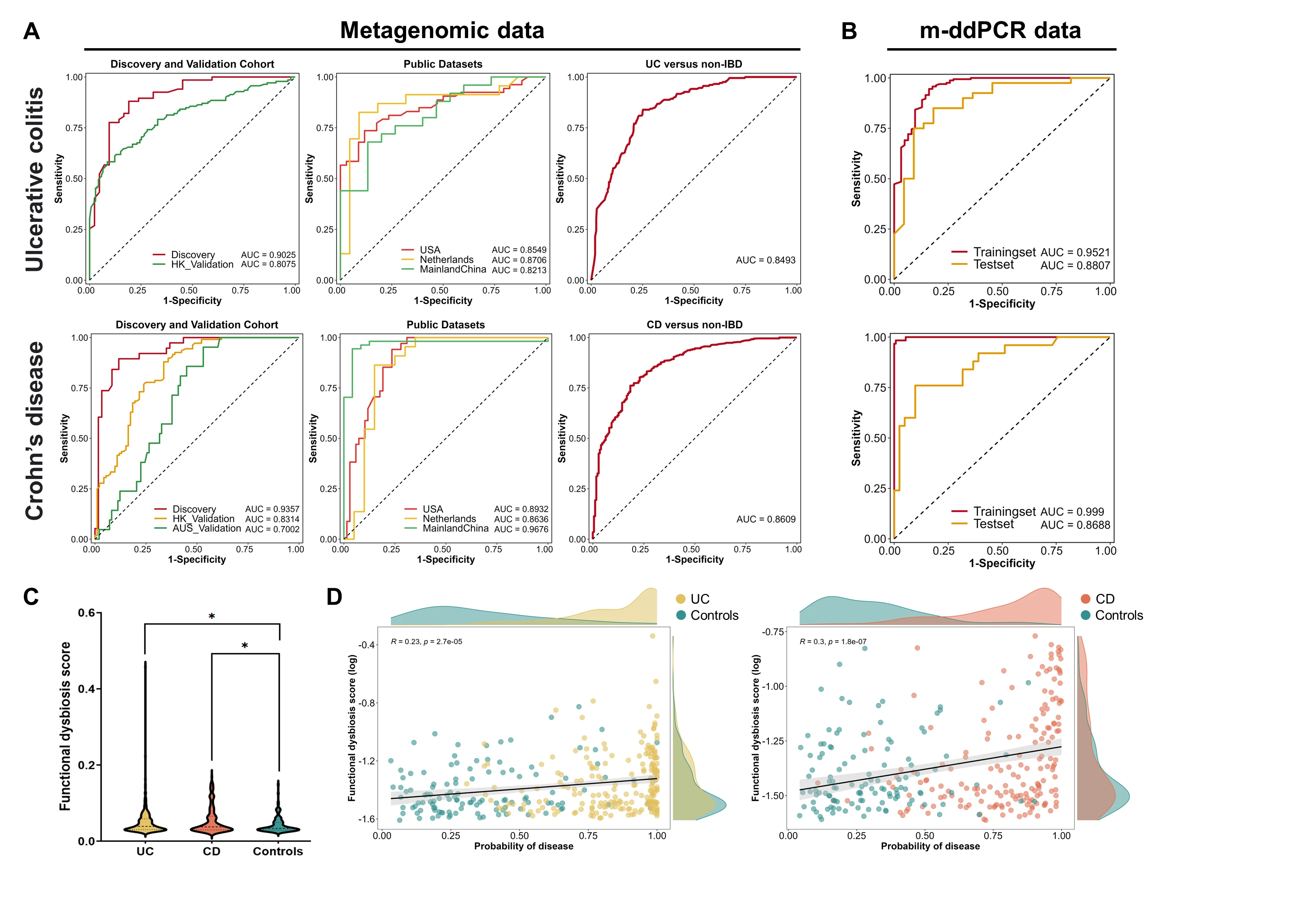 <b>Figure 1 (A) </b>Performance of model with ten UC or nine CD selected bacterial species biomarkers for classifying UC or CD patients with healthy controls in discovery cohort, Hong Kong validation cohort, Australian validation cohort, three public datasets and non-IBD patients with or without gastrointestinal disease.<b> (B) </b>Diagnostic performance to discriminate patients with UC or CD from healthy control with ten UC or nine CD bacterial species biomarkers determined by m-ddPCR.<b> (C) </b>Comparison of functional dysbiosis scores determined by median Bray-Curtis dissimilarity between a sample and healthy controls. <i>P </i>values were calculated using the Wilcoxon rank-sum test. <b>(D)</b> Correlation between functional dysbiosis scores and probability of disease generated by model based on ten UC or nine CD bacterial species biomarkers. The correlation coefficient <i>R</i> and <i>p</i> value were given by Spearman correlation. *<i>p</i><0.05.