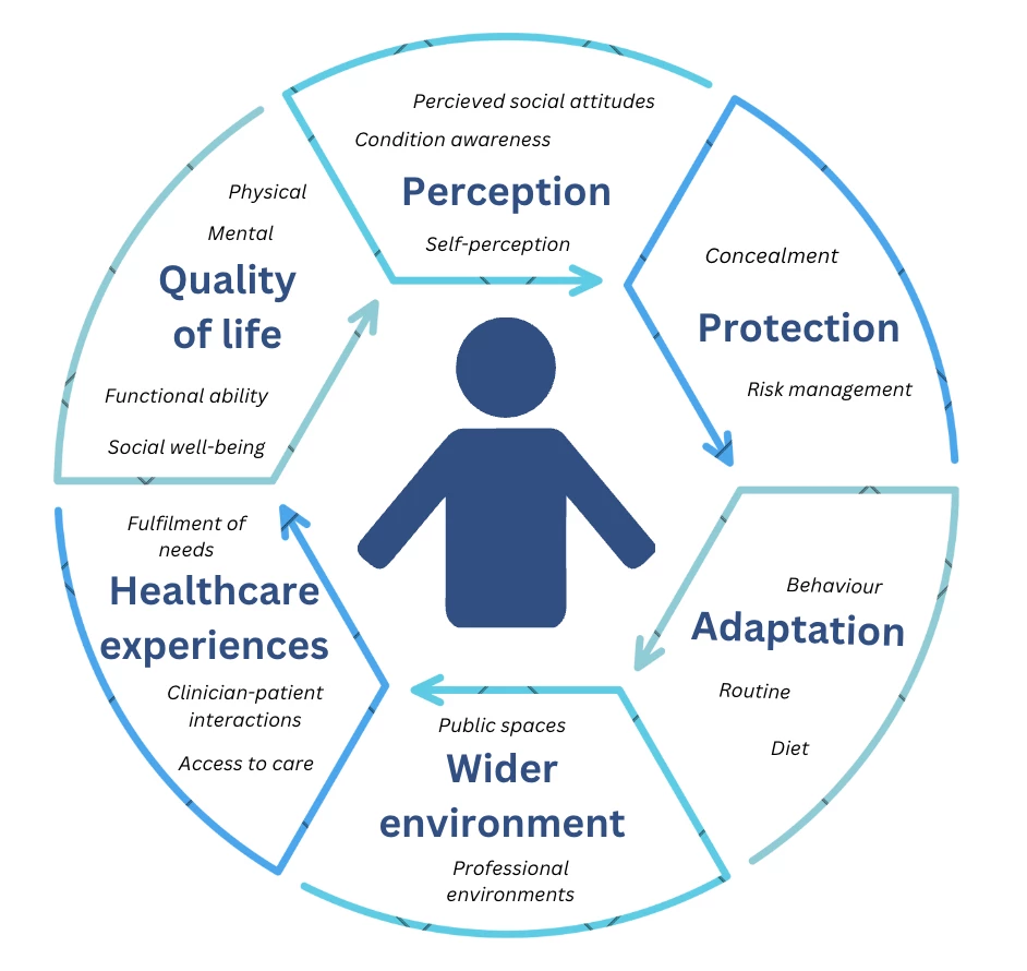 Figure 1 - Diagram illustrating themes and subthemes of the lived experience of FI