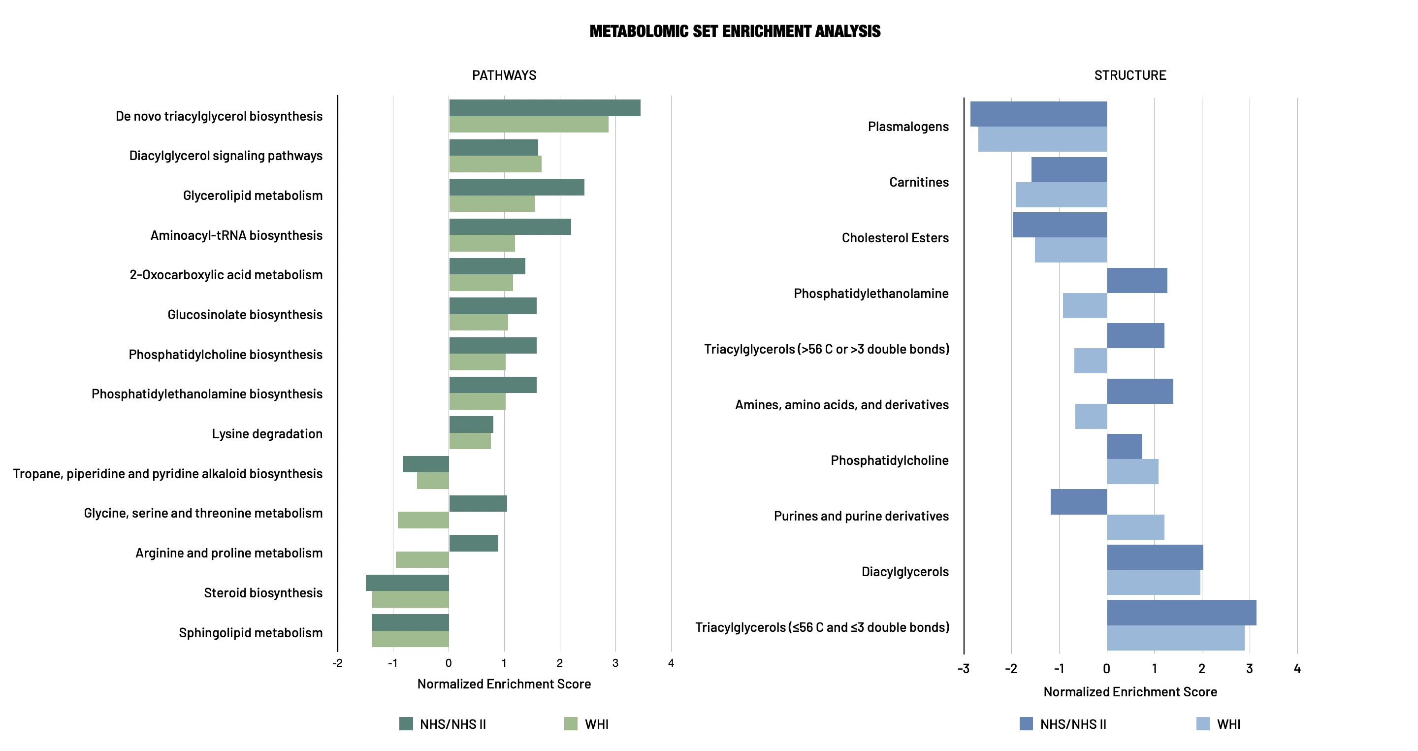 <u><b>Figure 1: Metabolite Set Enrichment Analysis</b></u>