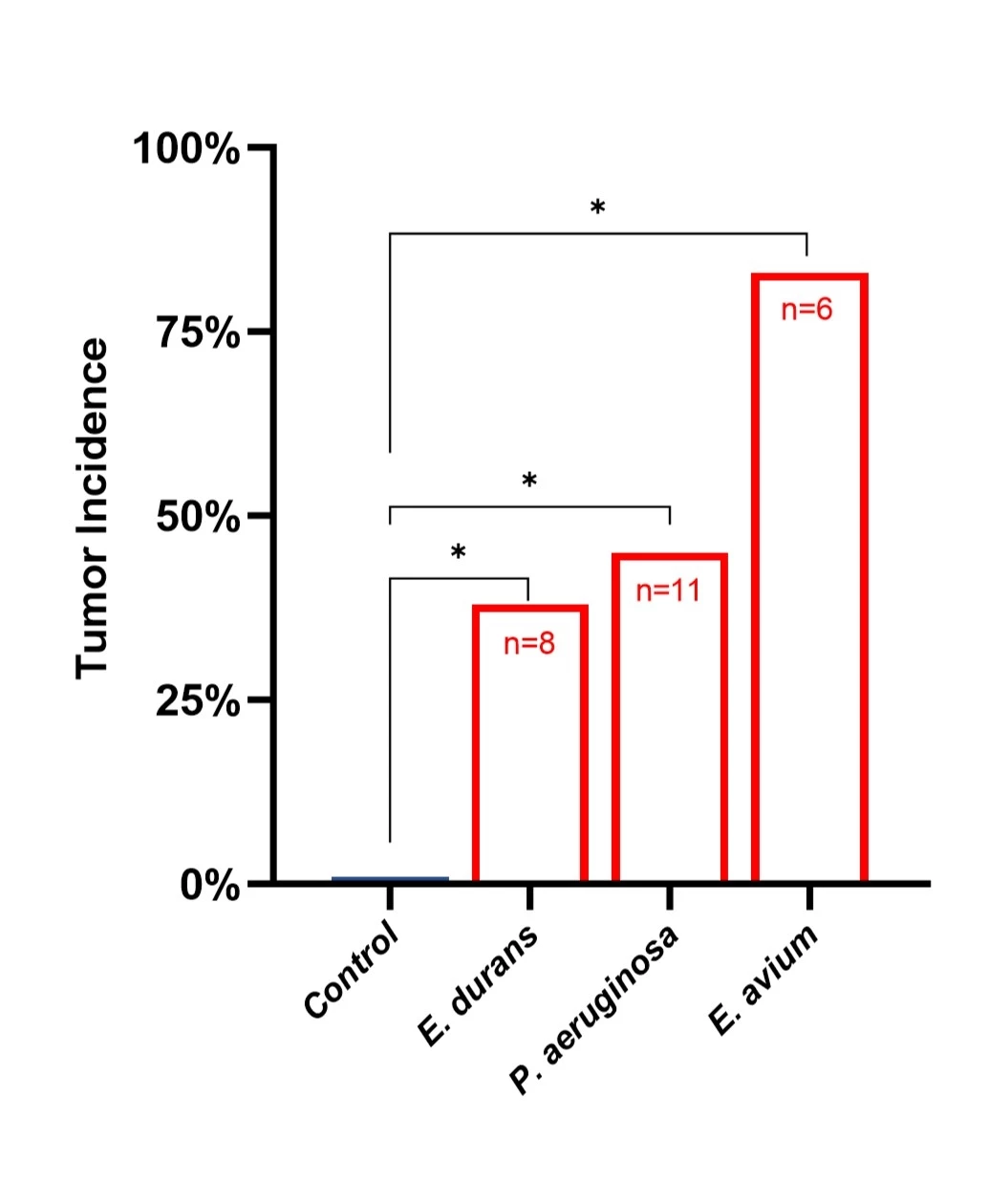 <b>Fig 2.</b> Postoperative tumor formation in a mouse model of colon surgery is significantly increased by colonic colonization with the pro-migratory strains recovered from human patients who developed recurrence. Mice underwent colonic anastomoses, colonized with the test bacteria on POD1 via enema, exposed to CT26 cancer cells on POD2, and assessed for local anastomotic tumor formation on POD21. *p<0.05