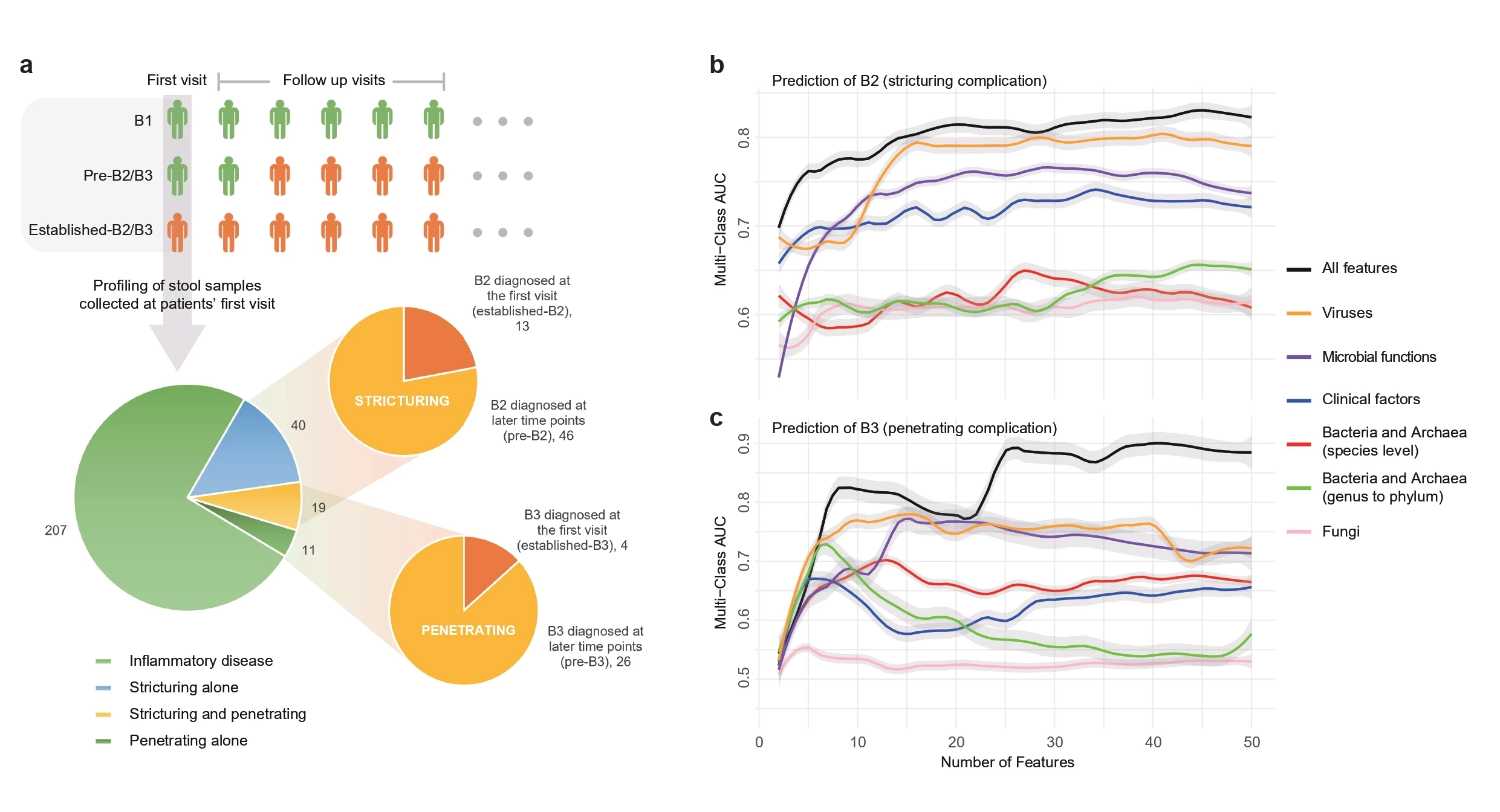 <b>Figure caption</b>. (<b>a</b>) Definition of B1, pre-, and established-B2/B3, along with the number of individuals categorized under each status in cases of B2 and B3 complications, as analyzed in our microbiome data. (<b>b</b>) Prediction of B2 using different data types. To mitigate the effects of randomness in the modeling process, we increased the number of top contributive features and evaluated their multi-class AUC for performance. The graph demonstrates that using all features (both microbiome and serological information) yields the best predictive performance. For single data types, DNA viruses show the highest predictive accuracy. (<b>c</b>) Prediction of B3 using different data types. Regarding predictive accuracy, the most contributive data type is still DNA viruses. We hypothesize that the accuracy of predicting complications using single-type data reflects the strength of its relationship with the occurrence of complications.