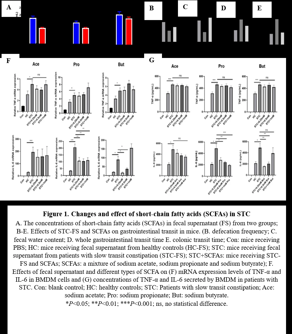 <b>Figure 1.</b> <b>Changes and effect of short-chain fatty acids (SCFAs) in STC</b>