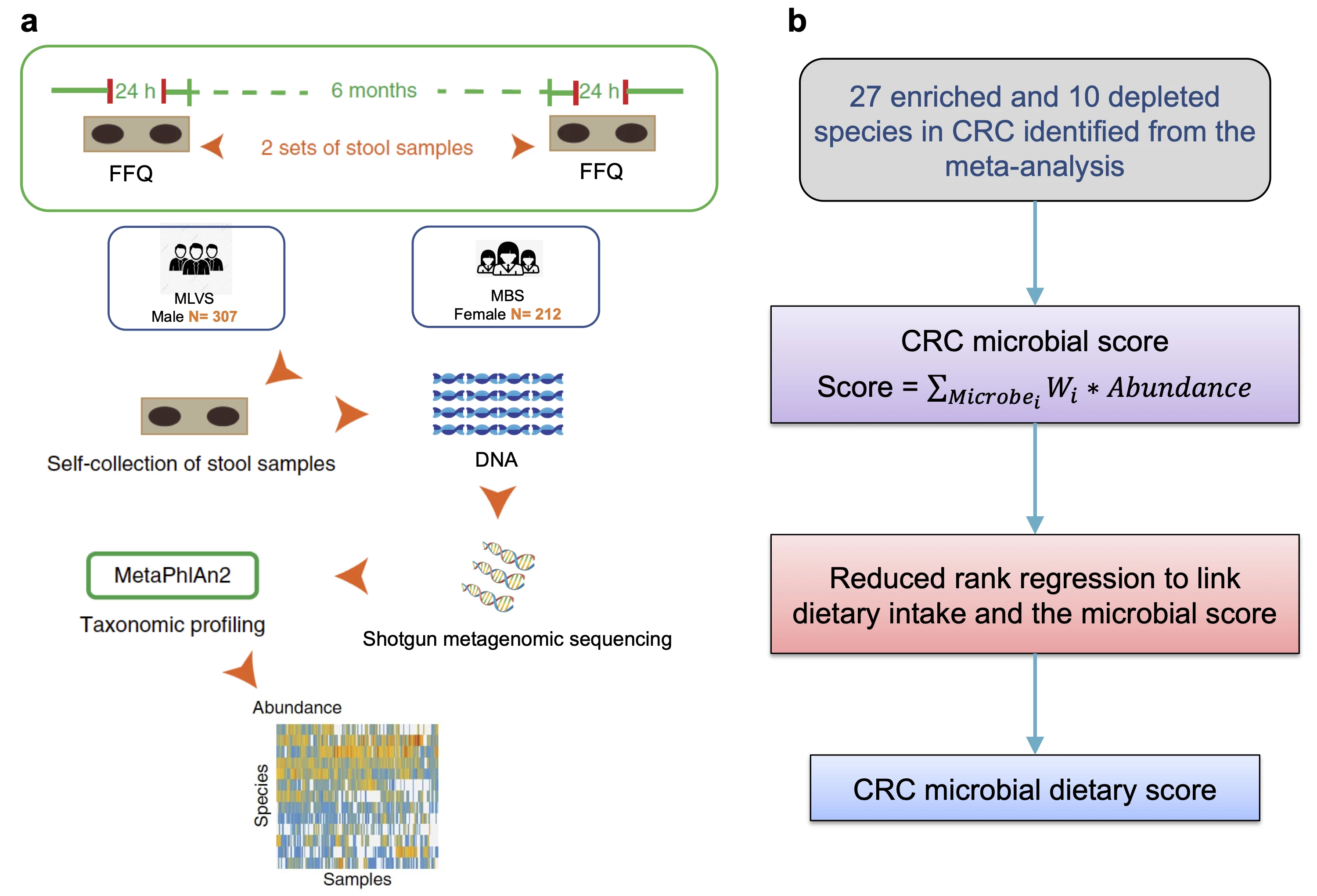 <b>Figure 1. Study design for the development of the colorectal cancer (CRC) Microbial Dietary Score (CMDS) in the Men’s Lifestyle Validation Study (MLVS) and Mind-Body Study (MBS). a, </b>To associate the gut microbiome with dietary intake, we profiled stool metagenomes from the MLVS and MBS. The MLVS is a sub-study of the Health Professionals Follow-up Study (HPFS) and MBS is a sub-study of the Nurses’ Health Study II (NHSII). <b>b,</b> The 37 species associated with colorectal cancer (CRC) as reported by Thomas <i>et al</i> (PMID: 30936548)<i> </i>were used to define the CRC microbial score and then linked with 37 food groups to create the CMDS.