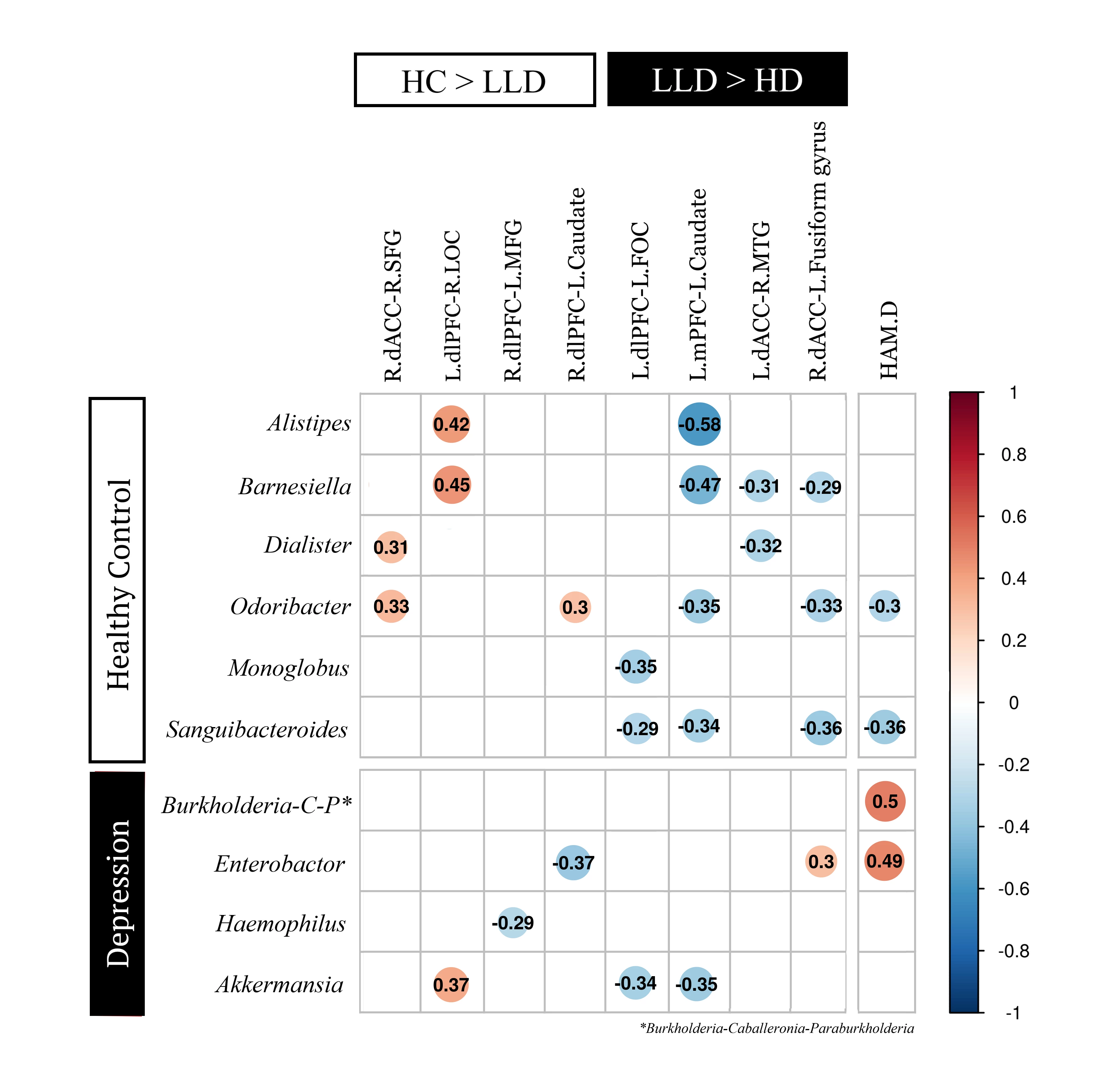 Figure 2. Heatmap of Spearman’s rank correlation coefficients of the relative abundances of different gut microbes at the genus level with brain functional connectivity networks and clinical symptoms in older patients with major depressive disorder (MDD) and healthy controls (HCs). The darkness of the color represents the magnitude of the correlation (blue circles = negative correlations; red circles = positive correlations) (dlPFC = dorsolateral prefrontal cortex; dACC = dorsal anterior cingulate cortex; mPFC= medial prefrontal cortex; MTG=middle temporal gyrus; SFG=superior frontal gyrus; FOC=frontal orbital cortex; LOC=lateral occipital cortex; MFG=middle frontal gyrus; IFG=inferior frontal gyrus; HAMD= Hamilton Depression Rating Scale).
