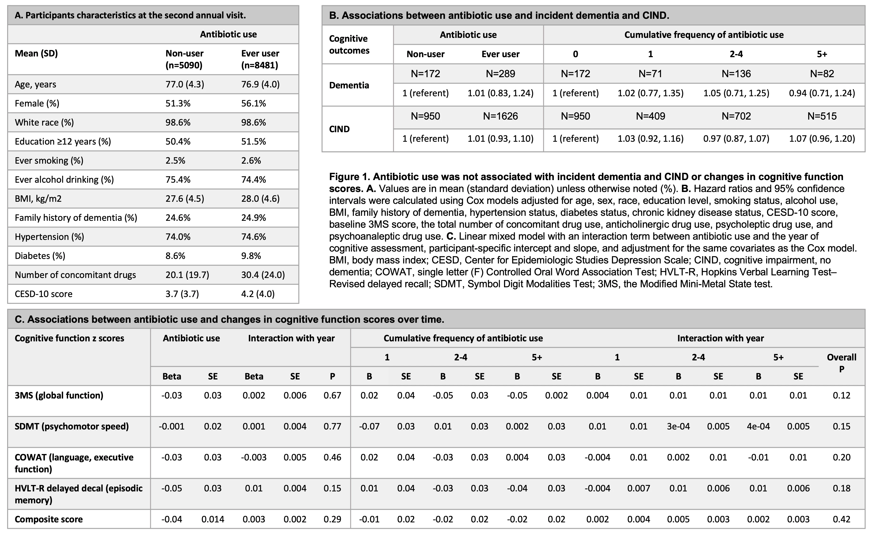 <b>Figure 1. Antibiotic use was not associated with incident dementia and CIND or changes in cognitive function scores. </b>A. Values are in mean (standard deviation) unless otherwise noted (%). B. Hazard ratios and 95% confidence intervals were calculated using Cox models adjusted for age, sex, race, education level, smoking status, alcohol use, BMI, family history of dementia, hypertension status, diabetes status, chronic kidney disease status, CESD-10 score, baseline 3MS score, the total number of concomitant drug use, anticholinergic drug use, psycholeptic drug use, and psychoanaleptic drug use. C. Linear mixed model with an interaction term between antibiotic use and the year of cognitive assessment, participant-specific intercept and slope, and adjustment for the same covariates as the Cox model.