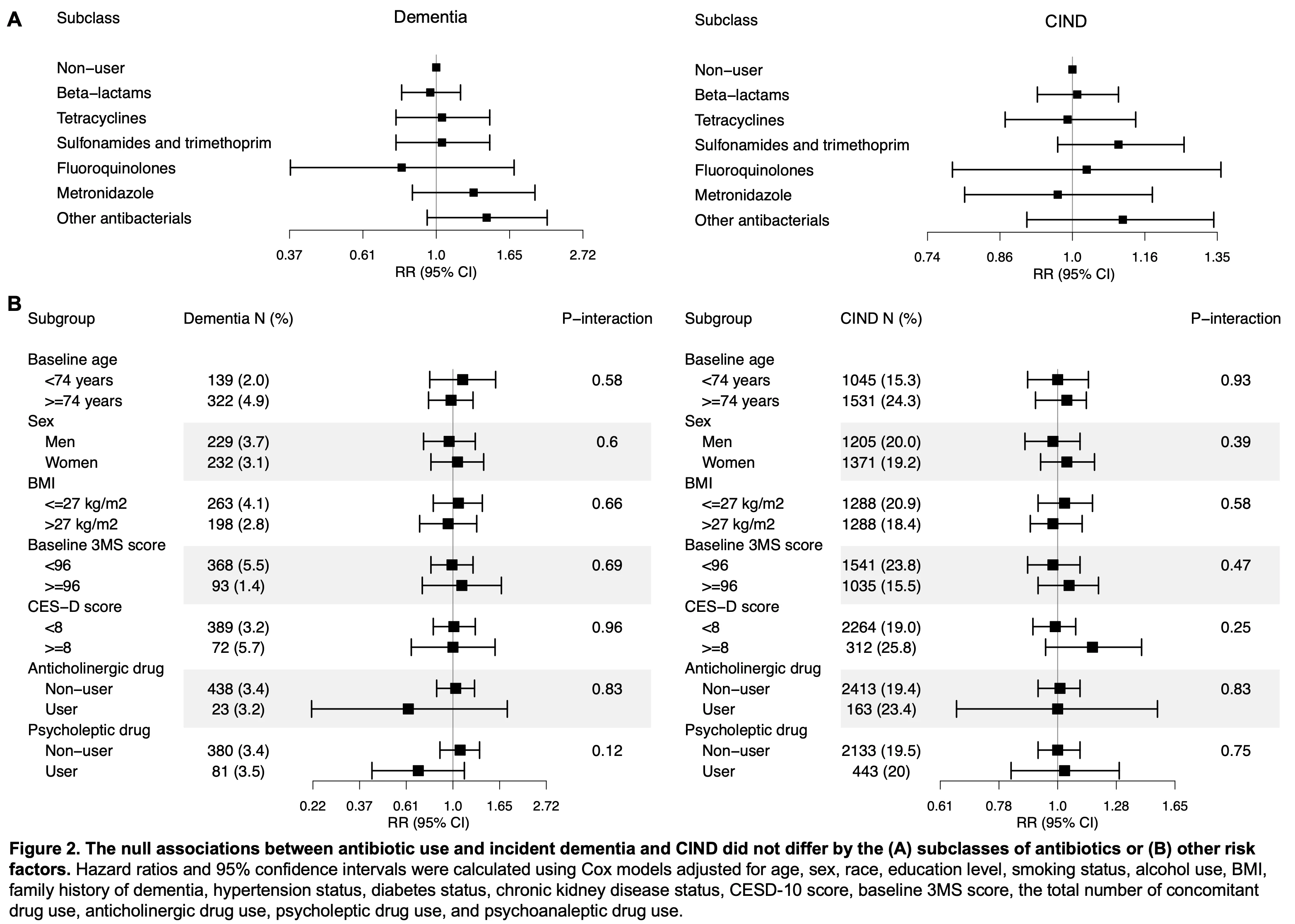 <b>Figure 2. The null associations between antibiotic use and incident dementia and CIND did not differ by the (A) subclasses of antibiotics or (B) other risk factors.</b> Hazard ratios and 95% confidence intervals were calculated using Cox models adjusted for age, sex, race, education level, smoking status, alcohol use, BMI, family history of dementia, hypertension status, diabetes status, chronic kidney disease status, CESD-10 score, baseline 3MS score, the total number of concomitant drug use, anticholinergic drug use, psycholeptic drug use, and psychoanaleptic drug use.