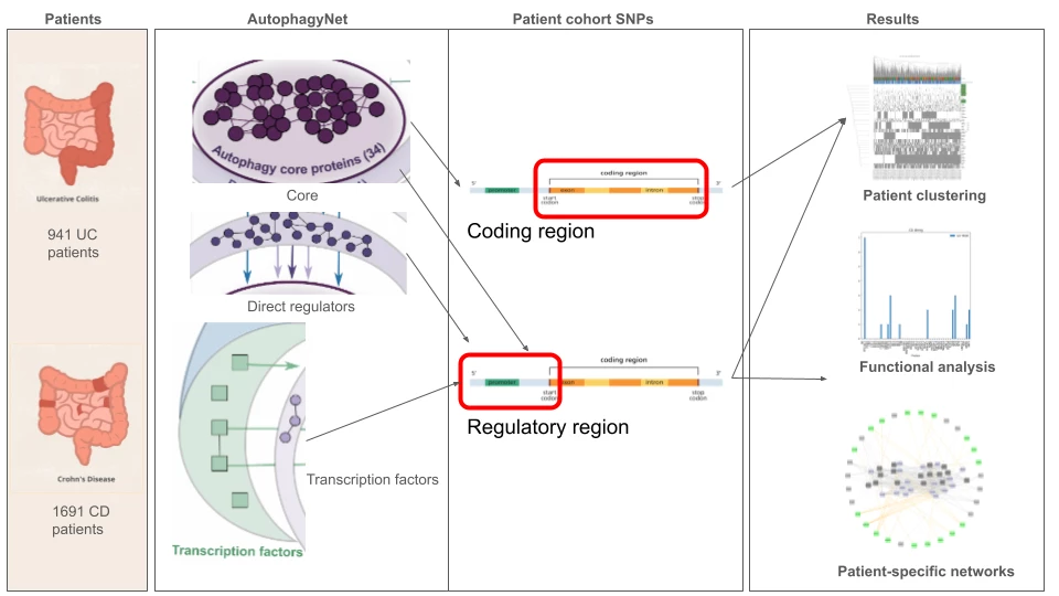 <b>Figure 1 - Schematic overview of study workflow.</b>