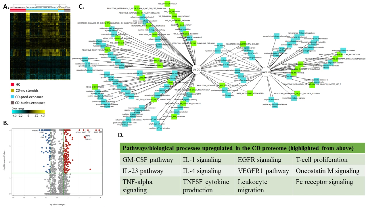 Figure1. Plasma protein abundance was compared between 80 patients with Crohn’s disease (CD) and 30 healthy controls (HC) and in a subset of 43 prednisone/budesonide unexposed CD and the 30 HC to identify the pre-treatment CD core proteome of 2556 proteins (1647 upregulated, 909 downregulated). A). Hierarchical clustering of the core proteome was performed to produce the heatmap. B). The volcano plot demonstrates the proteins with the largest positive and negative fold-change between treatment-naïve CD and HC. C). The novel core proteome was submitted for ontological enrichment analysis (ToppCluster) with pathways (green) and biological processes (blue) presented. D). The table highlights key pathways and biological processes that were identified by the unbiased analysis of the treatment-naïve proteome.
