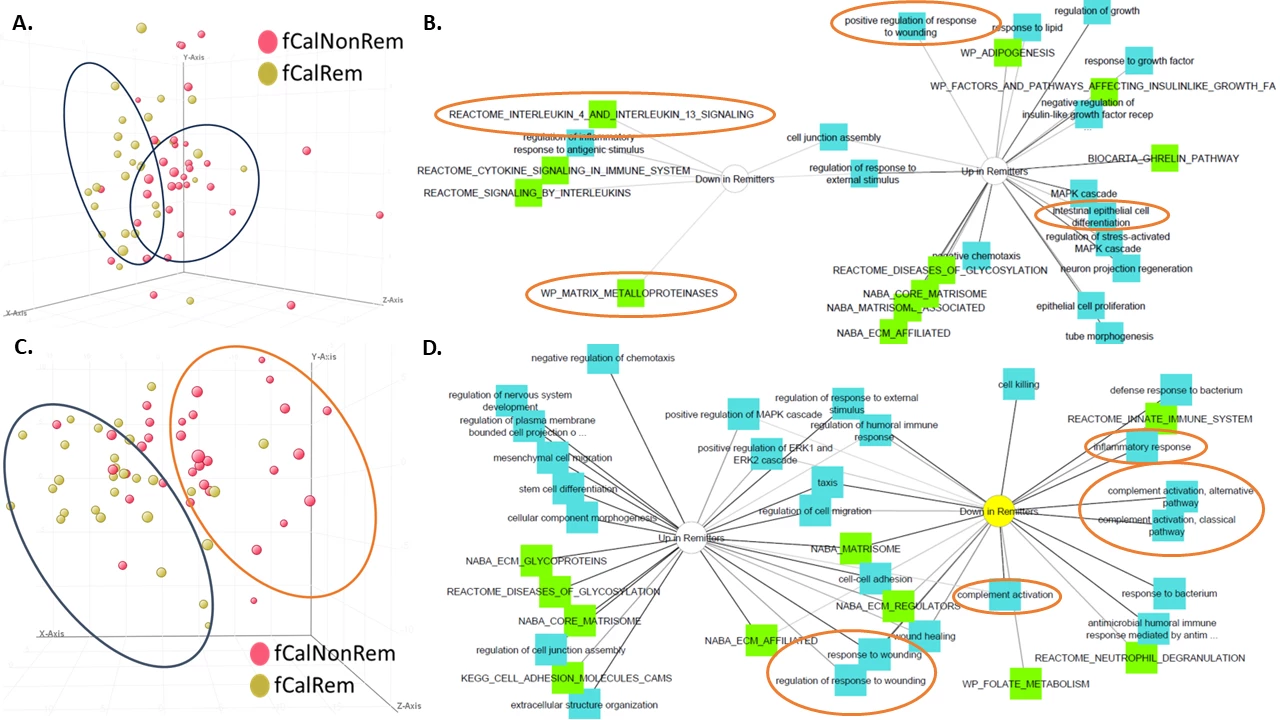 Figure2. A). PCA plot was generated from Crohn’s disease (CD) patients who achieved end of induction (M3) fecal calprotectin remission (fCalRem, <250 µg/mL) vs. fCalNonRem using the patient’s baseline (pre-treatment) protein abundance. B). The proteome was submitted for ontological enrichment analysis (ToppCluster) with pathways (green) and biological processes (blue) presented for fCal remitters (baseline proteins). C). PCA plot was generated from CD patients who achieved M3 fCalRem vs. fCalNonRem using the patient’s M3 protein abundance. D). Enrichment analysis (ToppCluster) with pathways (green) and biological processes (blue) presented for fCal remitters (M3 proteins). Oval drawings highlight key groupings of patients in the PCA plots (A, C) and key biological processes/pathways (B, D).