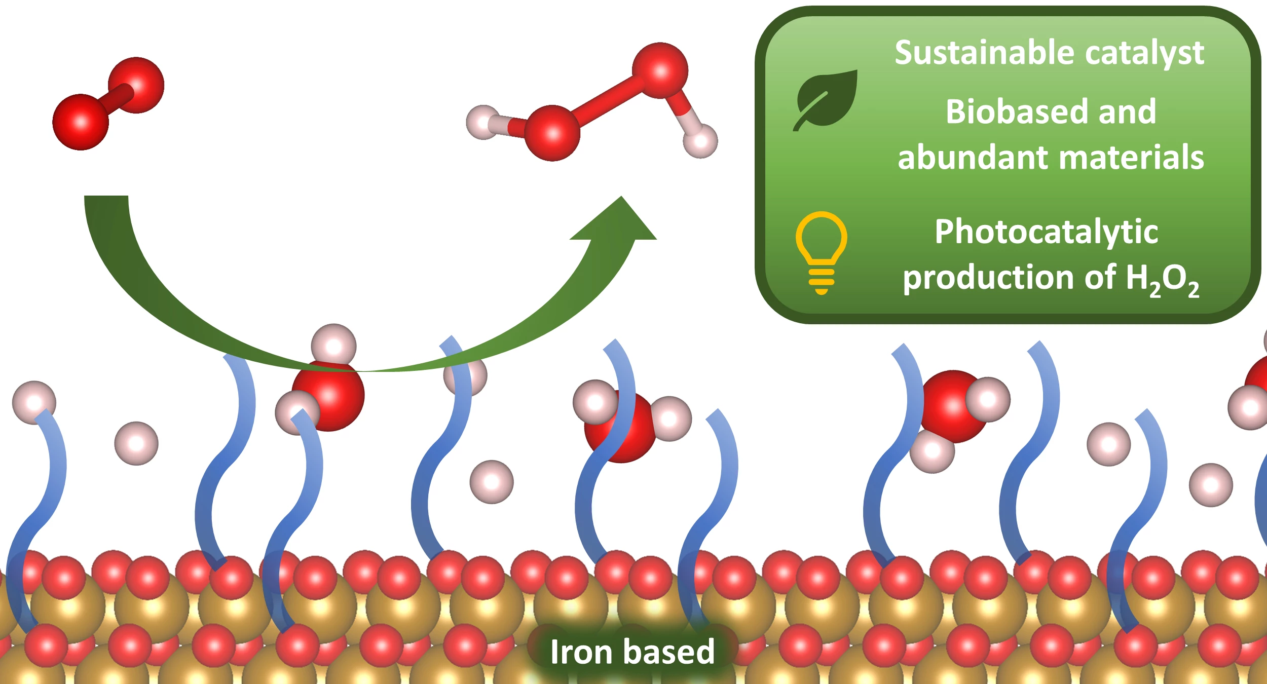 H2o2 Production Photocatalytic production of hydrogen peroxide in seawater - ACS Green ...