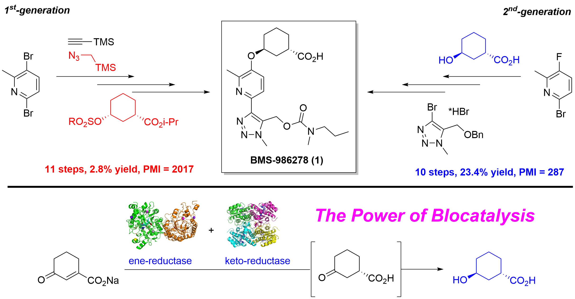 Synthesis Repertorium opathicum … Sustainable Manufacturing of BMS-986278 Leveraging an ERED