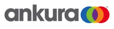 Ankura Consulting Group