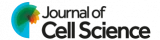 Journal of Cell Science Logo