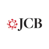JCB Logo
