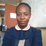 Oluwatoyin Ojo, PhD, University of Ibadan, College of Medicine Logo