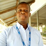 Paul Olusegun Adepoju, MSc, University of Ibadan Logo