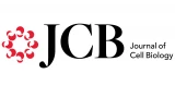 Journal of Cell Biology (JCB) Logo