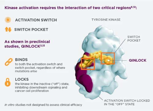 custom image custom image