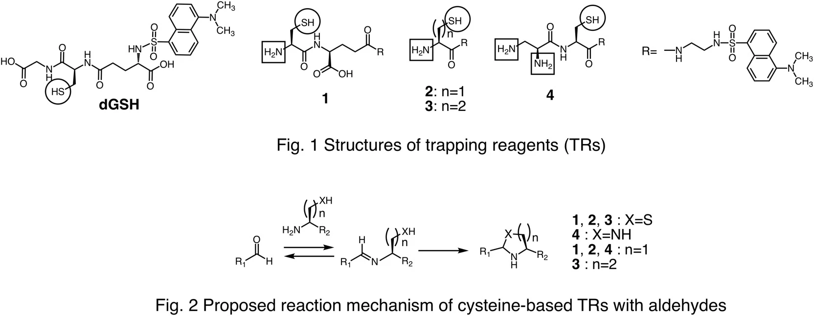 Development of fluorescent-labeled trapping reagents based on cysteine for  detecting reactive metabolites - International Chemical Congress of Pacific  Basin Societies