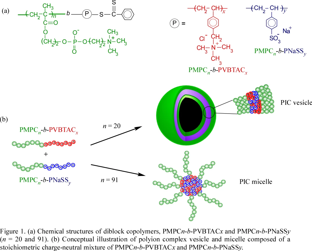 Polyion complex (PIC) aggregates formed from oppositely charged ...