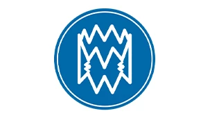 Critical Limb Ischemia icon