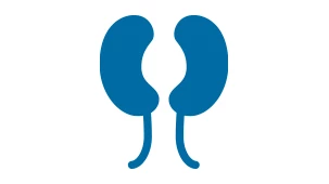 AV Access icon