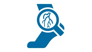 Deep Venous Disease icon