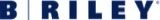 B Riley Advisory Services Logo