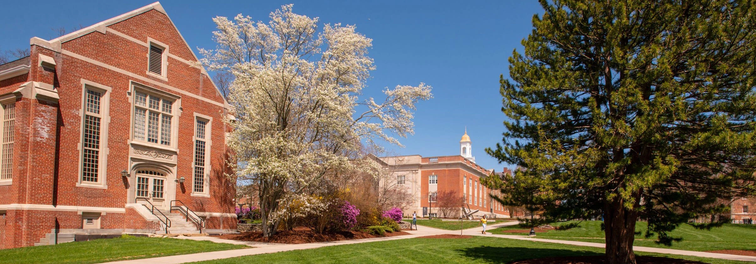 UCONN campus image in fall