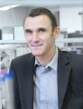 Predicting C-N cross-coupling yields from literature data: Lessons from ...