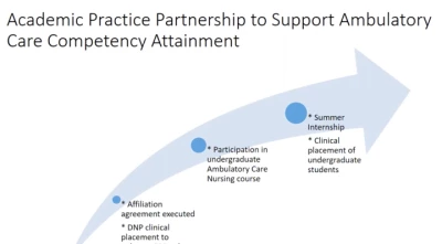 Thumbnail for Academic-Practice Partnership to Support the Health Plan Nursing Role