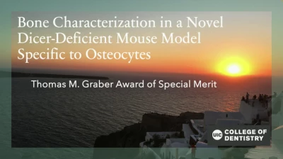 Thumbnail for Thomas M. Graber Award of Special Merit; Bone Characterization in a Novel Dicer-Deficient Mouse Model Specific to Osteocytes