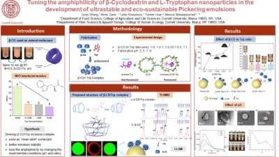 Thumbnail for Tuning the amphiphilicity of β-Cyclodextrin and L-Tryptophan nanoparticles in the development of ultrastable and eco-sustainable Pickering emulsions