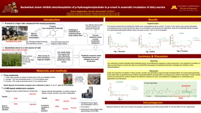 Thumbnail for Buckwheat stover inhibits decarboxylation of p-hydroxyphenylacetate to p-cresol in anaerobic incubation of dairy excreta