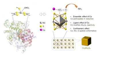 Thumbnail for Selective ammonia synthesis through nitrate reduction reaction by Co2Mo6S8 electrocatalysts | Poster Board #2454