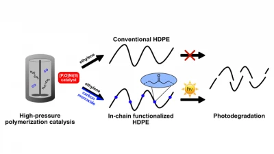 Thumbnail for Efficient catalytic copolymerization to polyethylene materials with in chain ketones | Poster Board #3053