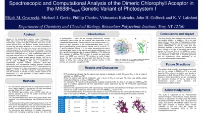 Thumbnail for Spectroscopic and computational analysis of the dimeric chlorophyll acceptor in the M688HPsaA genetic variant of Photosystem I