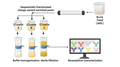 Thumbnail for Evaluation of a single-mechanism resin, multimodal resin, and multimodal hydrogel membrane for pH gradient fractionation of mAb charge variants